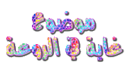 القاموس الإشاري العربي للصم - العلاقات الإجتماعية 930792